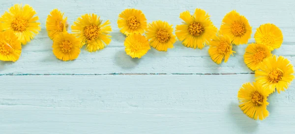 Wiosenne Żółte Kwiaty Drewnianym Tle — Zdjęcie stockowe