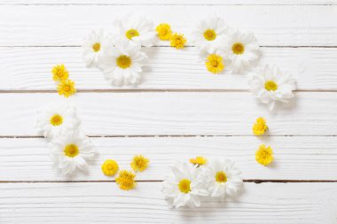 Beyaz ahşap arka planda beyaz kasımpatı ve sarı tay ayağı