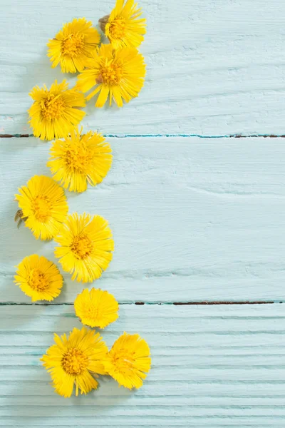 Ανοιξιάτικα Κίτρινα Λουλούδια Ξύλινο Φόντο — Φωτογραφία Αρχείου