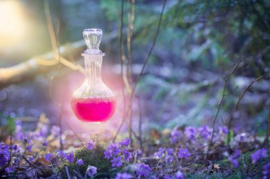 Sihirli iksir peri ormanında şişede