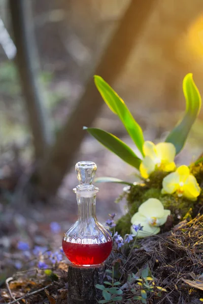Волшебное Зелье Бутылке Волшебном Лесу — стоковое фото