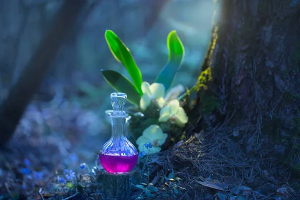 Potion Magique Bouteille Dans Forêt Fées — Photo