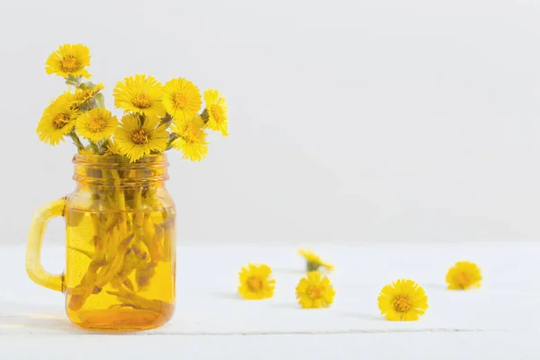 Coltsfoot Flores Frasco Amarelo Fundo Branco — Fotografia de Stock