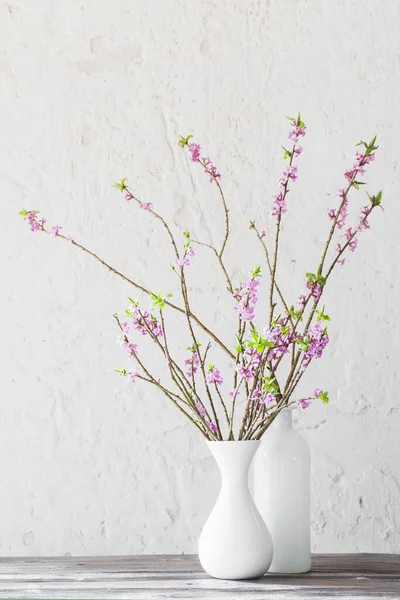 Daphne Blumen Der Vase Auf Alten Holztisch Auf Weißem Hintergrund — Stockfoto