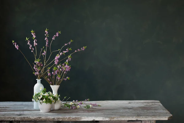 Schöne Frühlingsblumen Auf Dunklem Hintergrund — Stockfoto