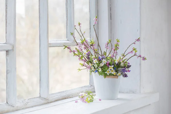 在旧的白色窗台上的白色水桶中绽放春天的花朵 — 图库照片