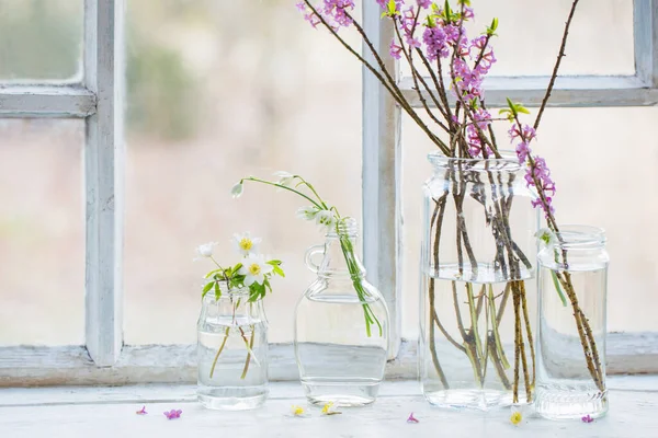在旧的白色窗台上的罐子里放着春天的花 — 图库照片