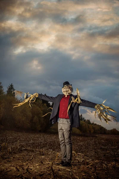 Espantapájaros Campo Otoño Contra Cielo Tarde — Foto de Stock