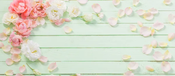 Rózsaszín Fehér Rózsa Zöld Háttér — Stock Fotó