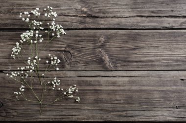 Gypsophila çiçek eski ahşap zemin üzerine