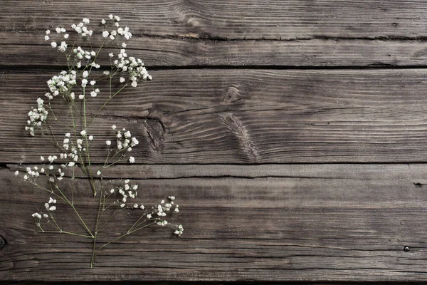 Квіти Гіпсофіли Старому Дерев Яному Фоні — стокове фото
