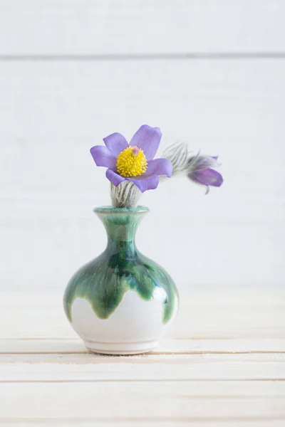 Pasque Květ Váze Bílém Dřevěném Pozadí — Stock fotografie