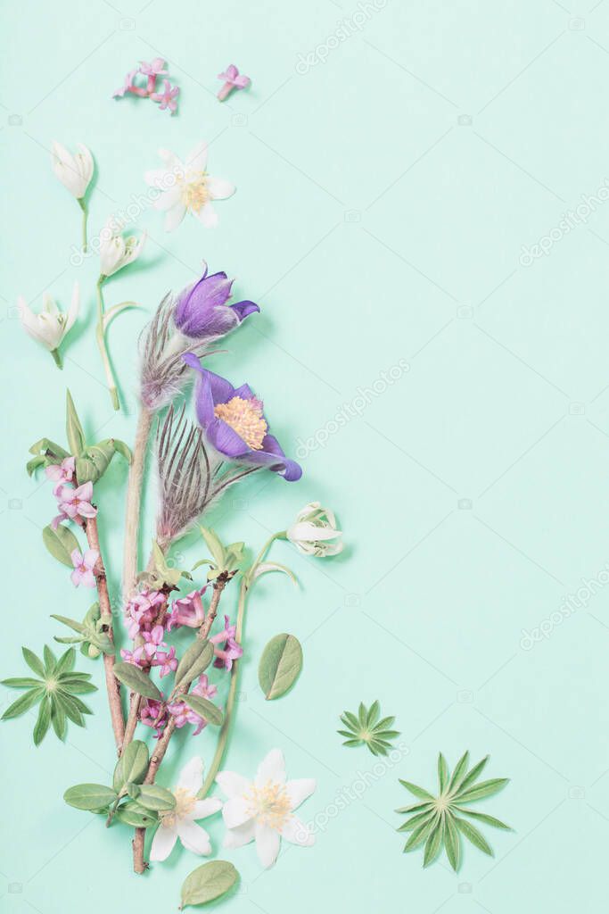 spring flowers on green background