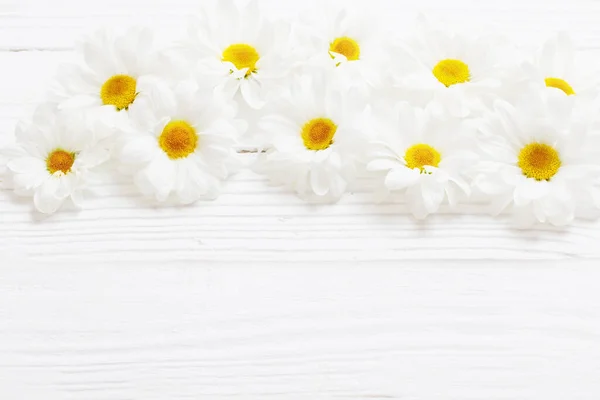 Crisântemo Branco Sobre Fundo Madeira Branco — Fotografia de Stock