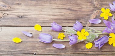 eski ahşap arka plan üzerinde bahar mor ve sarı çiçekler