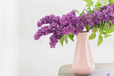 arka plan eski beyaz duvarda vazo mor leylak