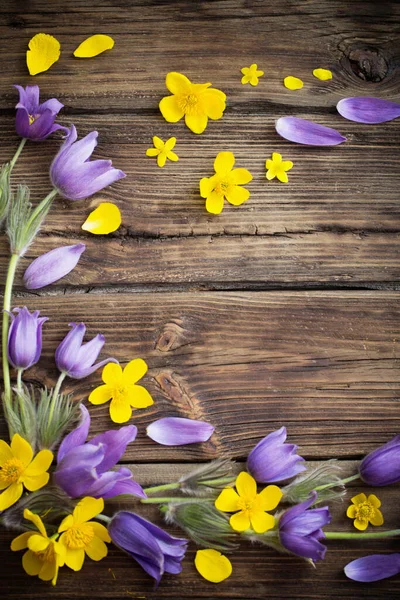 Jarní Purpurové Žluté Květy Starém Dřevěném Pozadí — Stock fotografie