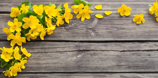 Yellow Spring Flowers Old Wooden Background — Stock Photo, Image