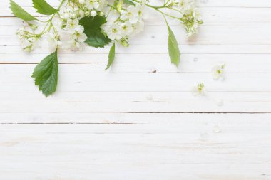 Beyaz ahşap arka planda bahar çiçekleri 