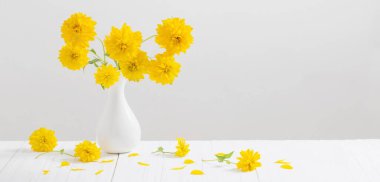 Beyaz arkaplanda vazoda sarı çiçekler