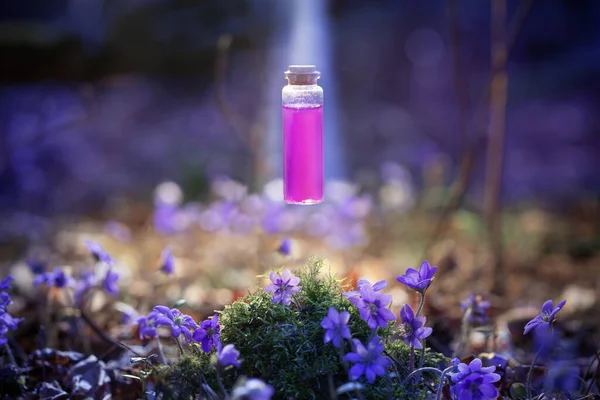 仙境森林里瓶子里的魔法药水 — 图库照片