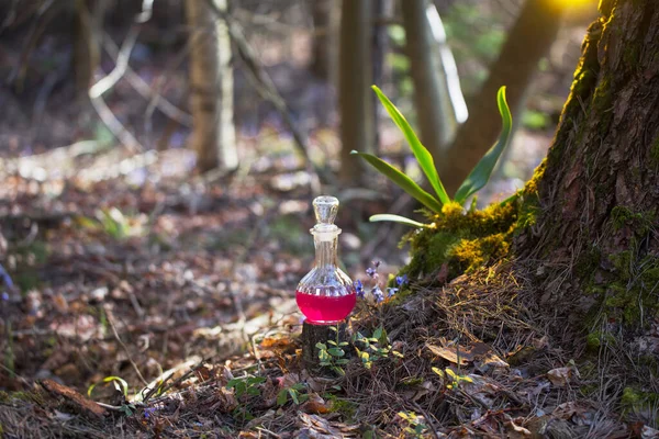 Zaubertrank Der Flasche Märchenwald — Stockfoto