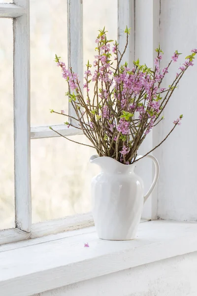Daphne Kwiaty Wazonie Zabytkowym Parapecie — Zdjęcie stockowe