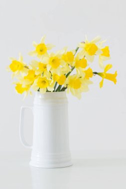 Beyaz arkaplanda sarı bahar çiçekleri