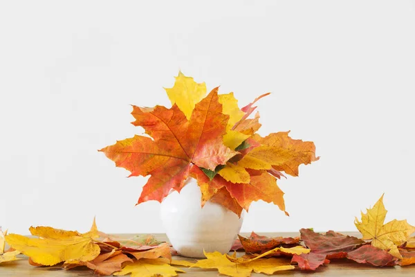 Autumnal Leaves White Vase White Background — Stock Photo, Image