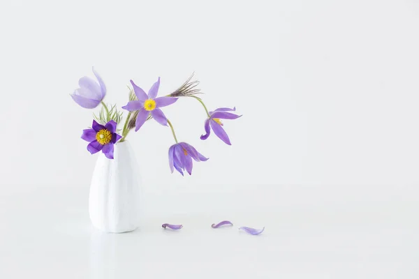 Паскудна Квітка Вазі Білому Тлі — стокове фото
