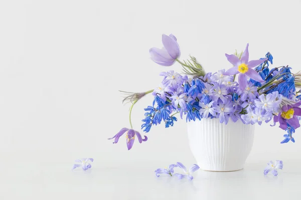 Сині Фіолетові Весняні Квіти Білому Тлі — стокове фото