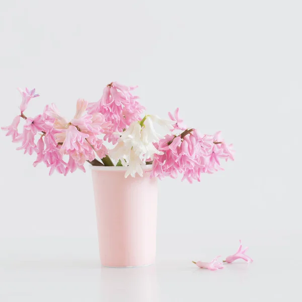 Roze Hyacint Vaas Witte Achtergrond — Stockfoto