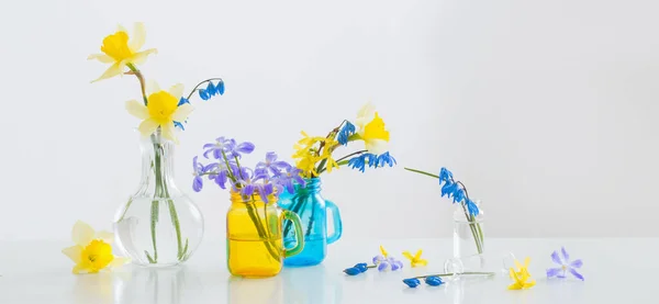 白い室内の春の花 — ストック写真