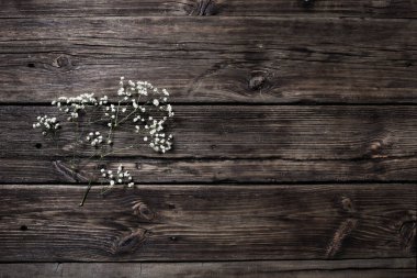 Gypsophila çiçek eski ahşap zemin üzerine