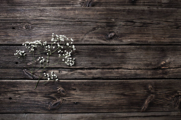 gypsophila flowers on old wooden background