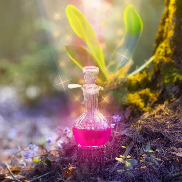 Μαγικό Φίλτρο Μπουκάλι Στο Δάσος Νεράιδα — Φωτογραφία Αρχείου