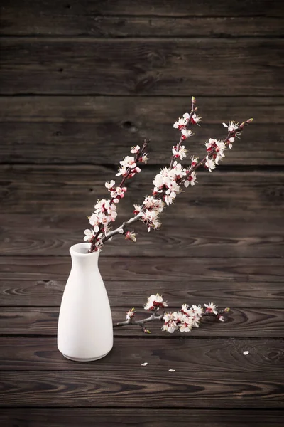 Flores Cerezo Jarrón Sobre Fondo Madera Oscura —  Fotos de Stock