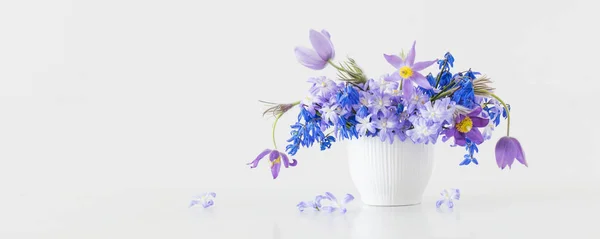 Blauwe Violette Lentebloemen Witte Achtergrond — Stockfoto