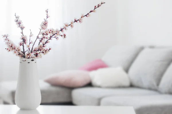 Fiori Rosa Primaverili Vaso Interno Bianco — Foto Stock