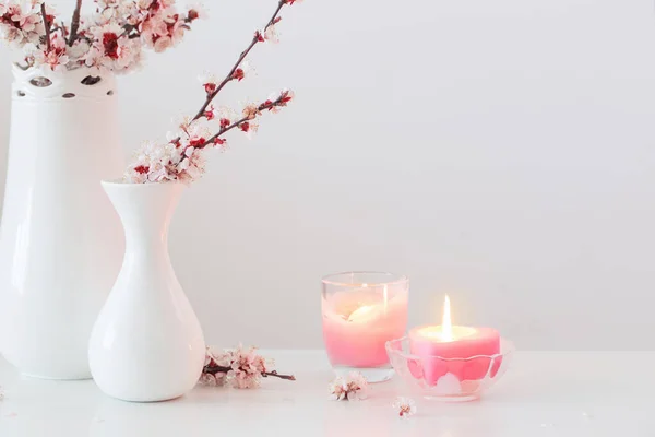 Körsbär Blommor Vas Med Rosa Ljus Vit Bakgrund — Stockfoto