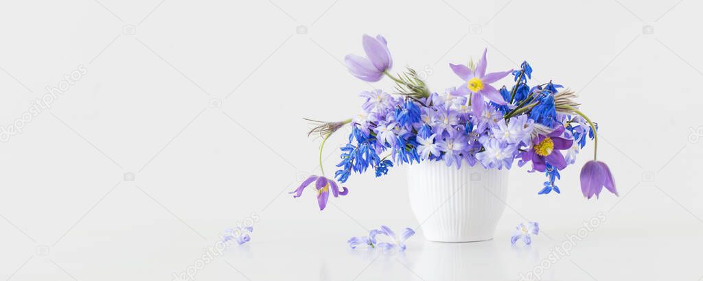 blue and violet spring flowers on white background