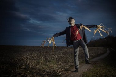 Korkuluk sonbahar tarlasında duruyor akşam gökyüzüne karşı