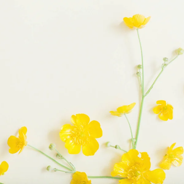 Gele Boterbloemen Geel Papier Achtergrond — Stockfoto