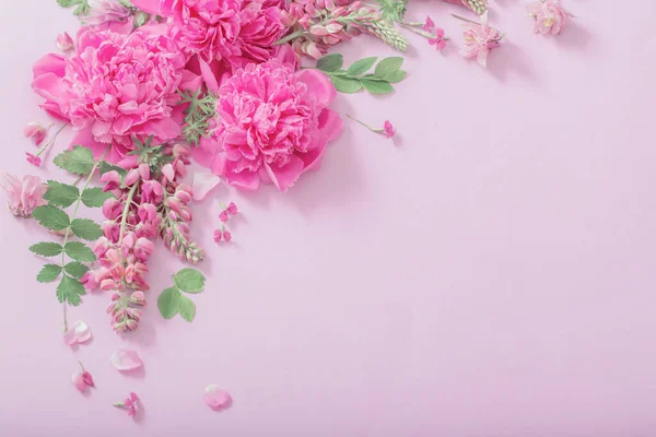 Розовые Красивые Цветы Фоне Розовой Бумаги — стоковое фото