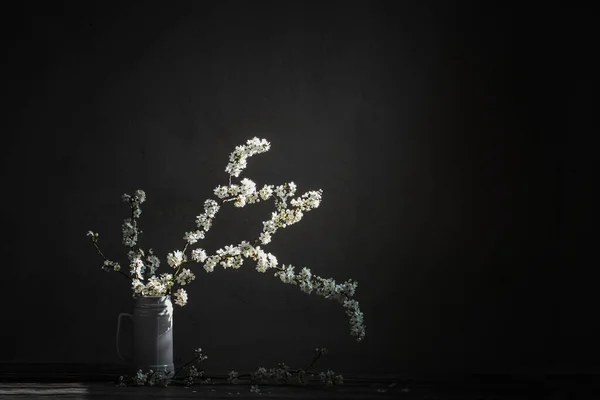 Flores Cerezo Jarra Blanca Sobre Una Vieja Mesa Madera —  Fotos de Stock