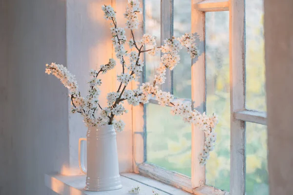 Cherry Flowers White Jug Windowsill Sunset — Stock Photo, Image