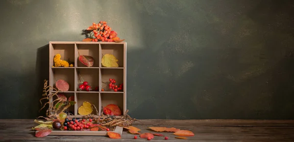 Herbst Hintergrund Mit Blättern Und Beeren — Stockfoto