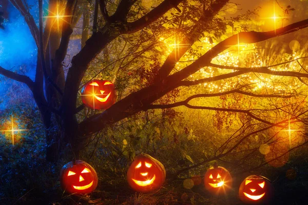 Halloween Dynie Nocy Tajemniczy Las — Zdjęcie stockowe