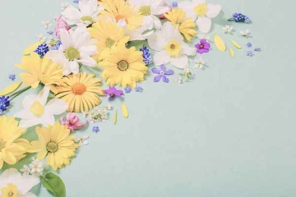 Vackra Blommor Blått Papper Bakgrund — Stockfoto