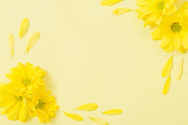 Gele Chrysant Gele Papieren Achtergrond — Stockfoto